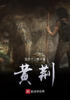 黄荆喜阳还是喜阴