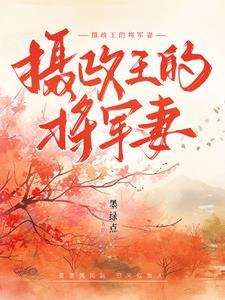 摄政王×将军文