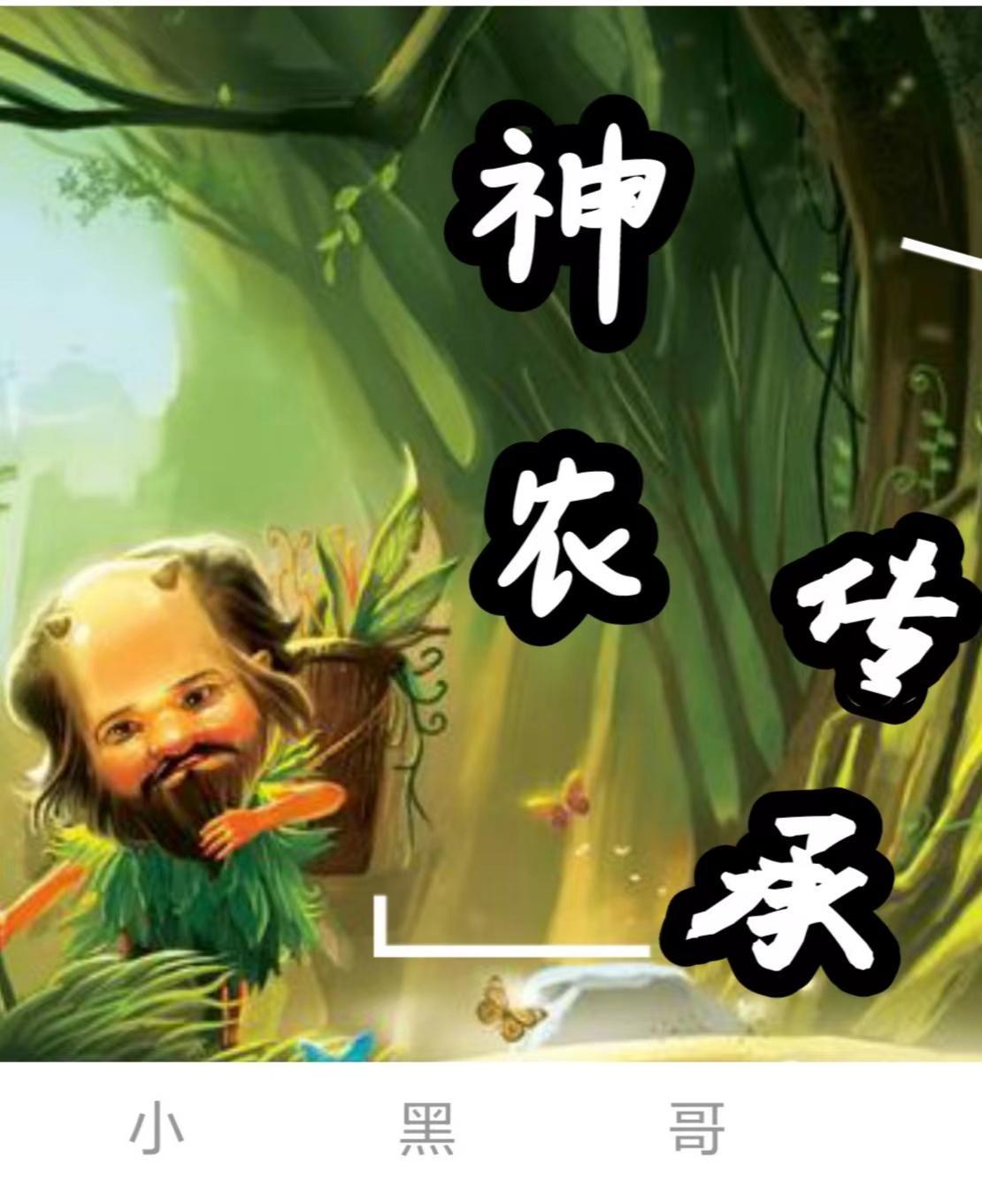 神农传承徐全文阅读txt